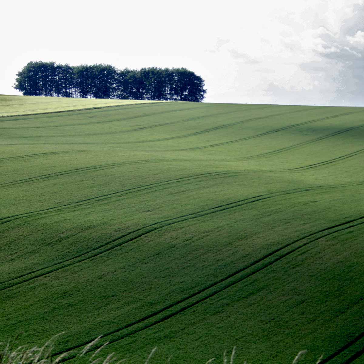Txoko Cottage Curlews Farm