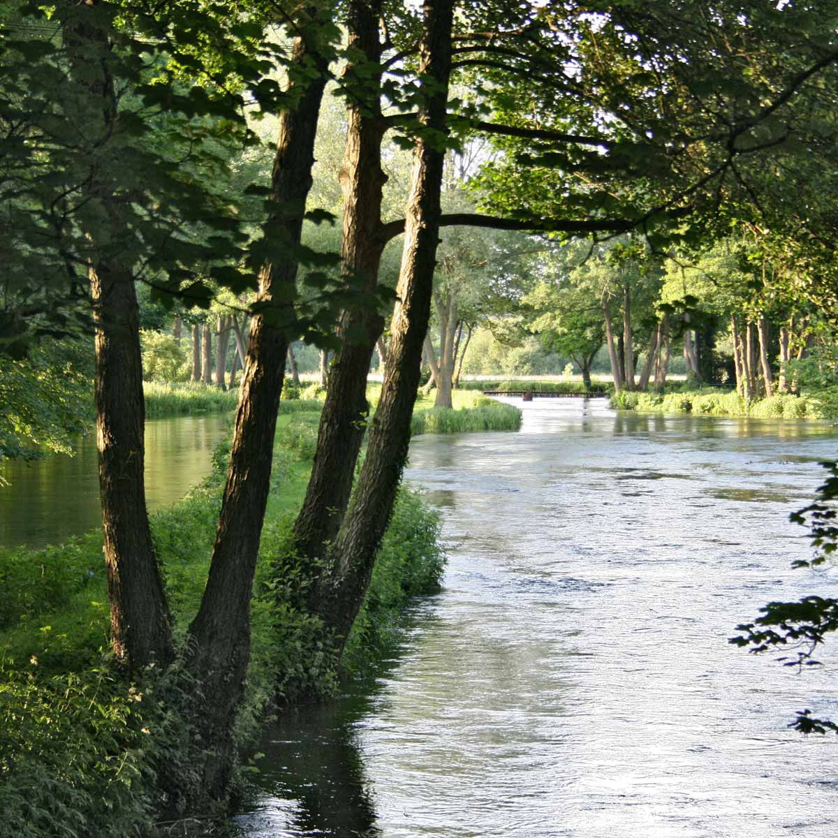 Txoko Cottage Curlews Farm